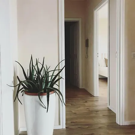 Apartament Taliari *